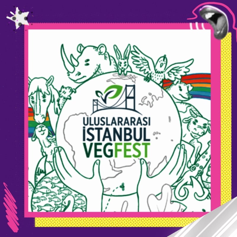 Uluslararası İstanbul VEGFEST Çok Yakında!